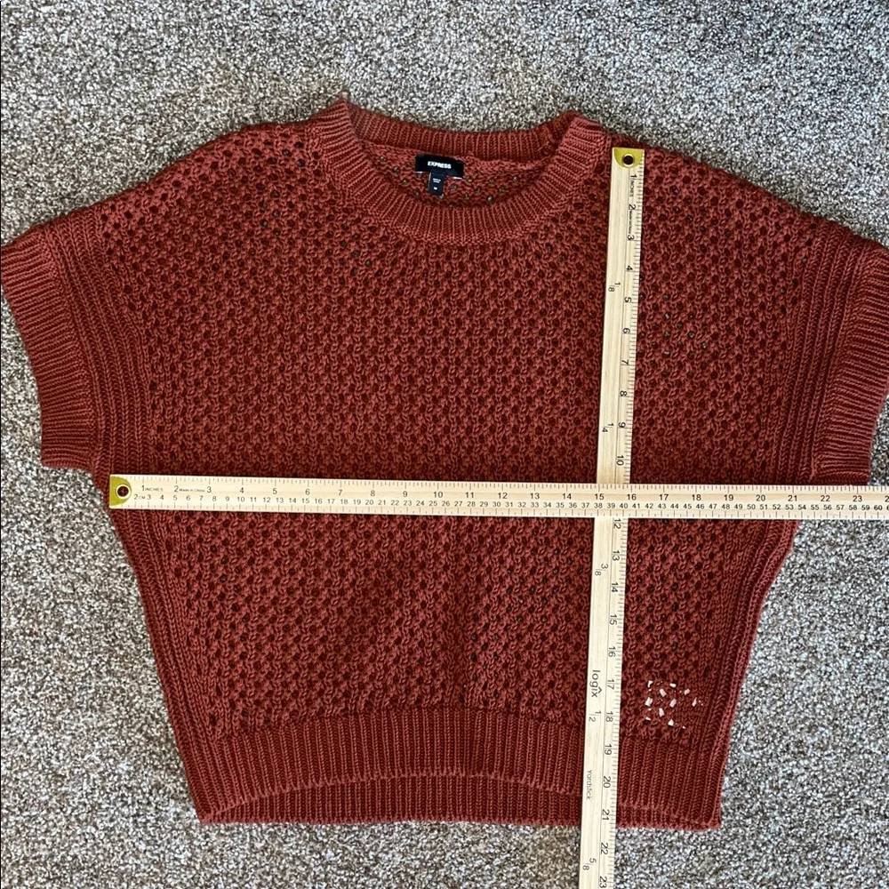 Express Rust Knit Sweater - Picture 5 of 6
